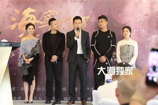 明星来了电影,璀璨星光下的娱乐圈风云录