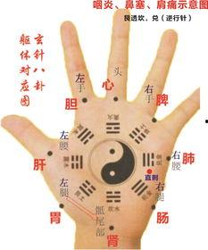 手八卦针,揭秘古老针灸艺术的现代应用