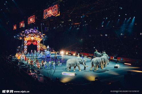 马戏团照片,光影中的奇幻世界